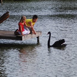 ���� ����, �����-���������, 48 ��� - ��������� 9 ����� 2014