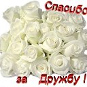 ���� ������, ������, 41 ��� - ��������� 2 ������� 2013 � ������ ���� ����������