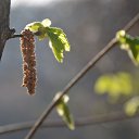 ����� 2014 �� ������� ���� ����������