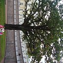  , -, 73  -  30  2013     