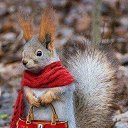 ���� �����, ����, 42 ���� - ��������� 2 ������� 2013 � ������ ������ ��������