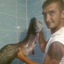 ���� �������, ������, 53 ���� - ��������� 22 ������ 2013 � ������ ���� ����������