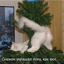 ���� ����, ��������, 59 ��� - ��������� 3 ������� 2013 � ������ ���� ����������