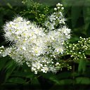 ���� ������� -------, ����������� - ��������� 27 ����� 2014 � ������ ������ ��������