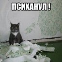 ���� Eugen, �������������� - ��������� 25 ��� 2014 � ������ ������ ��������