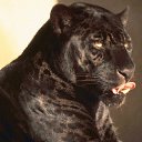 ���� Nata, ������, 31 ��� - ��������� 29 ��� 2014 � ������ ���� ����������