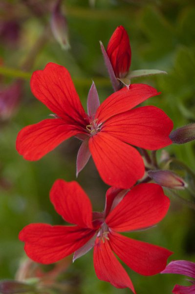 Не делай больно никому, Не заставляй людей страдать. Пошлет спасенье Бог тому, Кто сможет все душой ... - 5