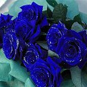 ���� ������, ����������� - ��������� 26 ���� 2014 � ������ ������ ��������