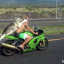 ���� ������ ���, ���������, 49 ��� - ��������� 25 ���� 2014