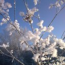 ���� ������, ������, 64 ���� - ��������� 13 ������� 2014 � ������ ���� ����� �������