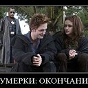 ���� �����, ����, 41 ��� - ��������� 1 ���� 2014 � ������ ������ ��������