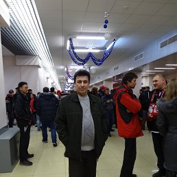 ���� ������, ������������, 53 ���� - ��������� 8 ��� 2014