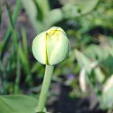 ���� ������, ������, 49 ��� - ��������� 25 ������ 2014 � ������ �������� � ������