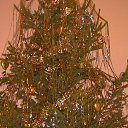 ���� ���������, ������, 67 ��� - ��������� 14 ���� 2014 � ������ ���� ����������