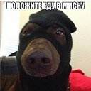 ���� �����, ������, 40 ��� - ��������� 14 ���� 2014 � ������ ������ ��������