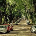 ���� �e� �, ������, 55 ��� - ��������� 16 ����� 2014 � ������ ���� ������