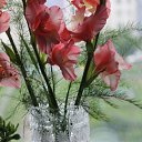 ���� �������, ���������� - ��������� 16 ������� 2014 � ������ ������ ��������