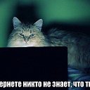 ���� ����, ��������, 25 ��� - ��������� 9 ������� 2014 � ������ ���� ����������