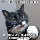 ���� ����, �����-��������� - ��������� 7 ���� 2014 � ������ ������ ��������