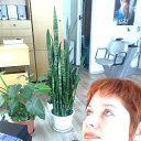  , -, 58  -  12  2014    