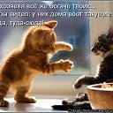 ���� ���������, ���������, 62 ���� - ��������� 19 ���� 2014 � ������ ������ ��������