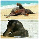 ���� ����, ����������, 47 ��� - ��������� 24 ���� 2014 � ������ ������ ��������