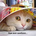 ���� ������, ������, 63 ���� - ��������� 17 ��� 2014 � ������ ������ ��������