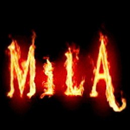 ����, �������