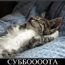 ���� ��������, �����������, 58 ��� - ��������� 10 ���� 2014 � ������ ���� ����������