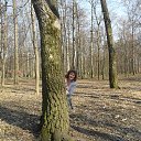 ���� �����, ���� - ��������� 21 ������ 2014 � ������ ���� ����������