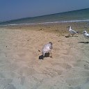 ���� ��������, ��������������, 50 ��� - ��������� 8 ������� 2014 � ������ ������ ��������