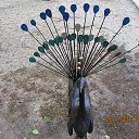 ���� ����, �����, 52 ���� - ��������� 24 ��� 2014 � ������ ��������