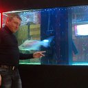 ���� ���������, �����������, 50 ��� - ��������� 28 ���� 2014