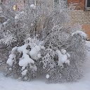 ���� �������, ���� - ��������� 21 ����� 2014 � ������ ������ ��������