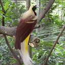 ���� ==Elena==, ������� - ��������� 3 ������� 2014 � ������ ���� ����������