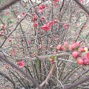 ���� ���, ����������� - ��������� 1 ������ 2014 � ������ ��-�������������