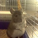 ���� �������, ������ - ��������� 8 ���� 2014 � ������ ���� ����������