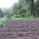 ������ �������� ������� �� ������� ������� 2014�