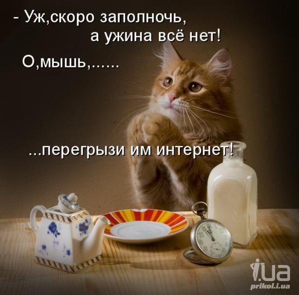    - 11  2014  07:10