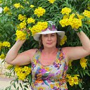 ���� ��������, ������, 64 ���� - ��������� 30 ������ 2014 � ������ �������