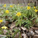 ���� ����, �������, 55 ��� - ��������� 12 ������ 2014 � ������ ������ 2014�