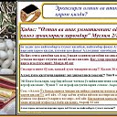 ���� ����������, ������, 48 ��� - ��������� 27 ���� 2014