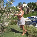 ���� �����, ������������ - ��������� 17 ������ 2014 � ������ ��������