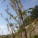 ���� �����, ������� - ��������� 18 ������� 2014 � ������ �17.08.2014�.�