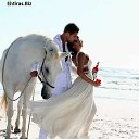 ���� Yaz Ciceyi, ���� - ��������� 12 ���� 2014 � ������ ���� ����������
