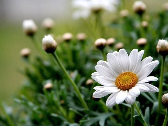 ����� ���� ���� �������� �����, � ����� ���� ������ ��� �������! ������ ����� � ���� �� ��������, � ... - 6