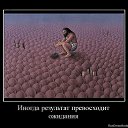 ���� �������, �������, 44 ���� - ��������� 25 ������ 2014 � ������ ������ ��������