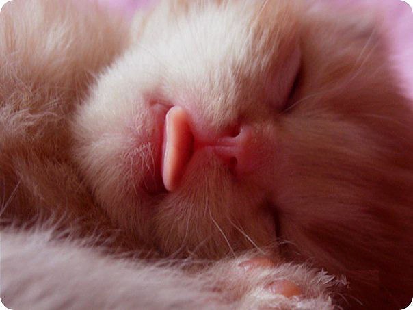 ,     :3