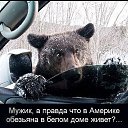 ���� ��������, ����, 53 ���� - ��������� 24 ��� 2014 � ������ ������ ��������