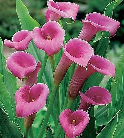 ����. - 24 ��� 2014 � 07:44